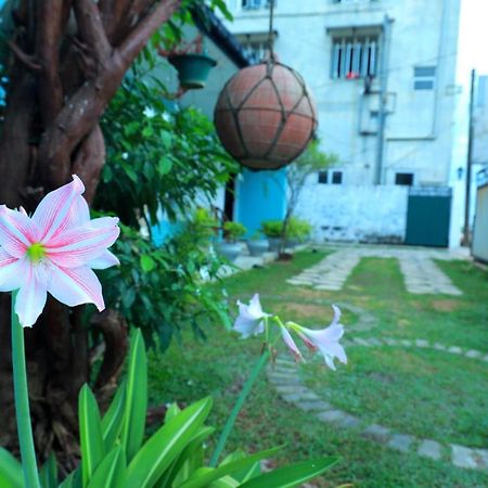 Hotel The Duchess Old Matara Esterno foto